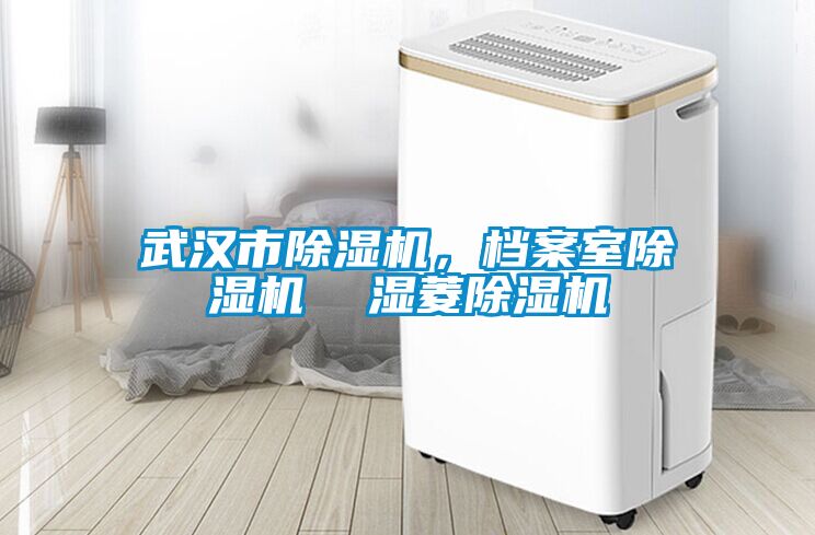 武漢市除濕機(jī)，檔案室除濕機(jī)  濕菱除濕機(jī)