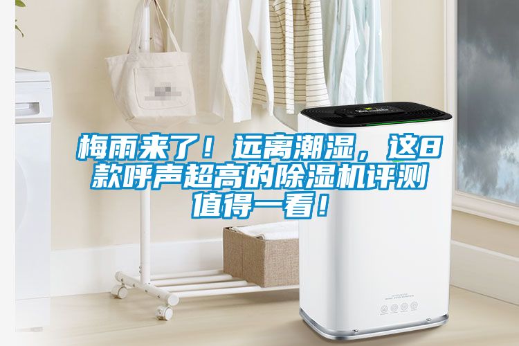 梅雨來了！遠(yuǎn)離潮濕，這8款呼聲超高的除濕機(jī)評測值得一看！