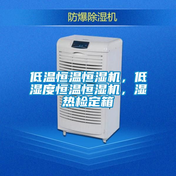 低溫恒溫恒濕機(jī)，低濕度恒溫恒濕機(jī)，濕熱檢定箱
