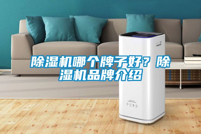 除濕機(jī)哪個(gè)牌子好？除濕機(jī)品牌介紹