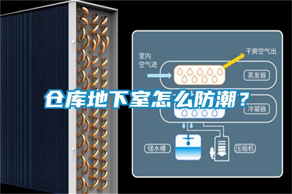 倉庫地下室怎么防潮？