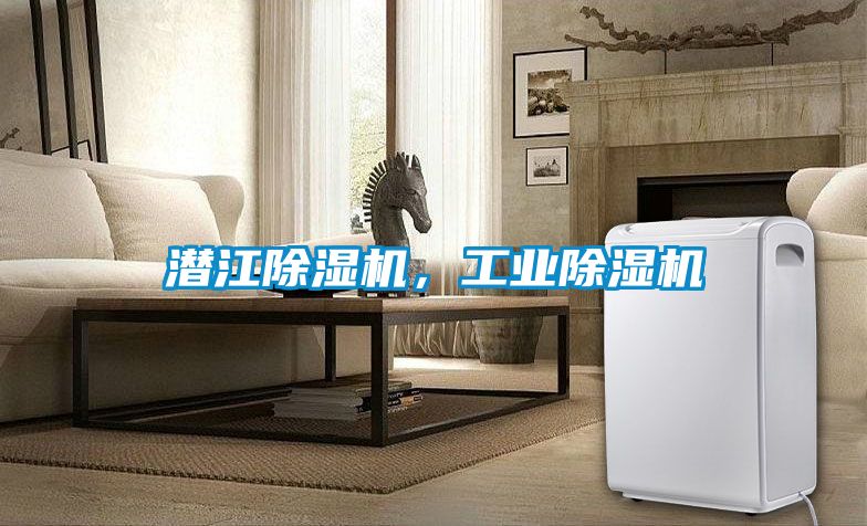 潛江除濕機(jī)，工業(yè)除濕機(jī)