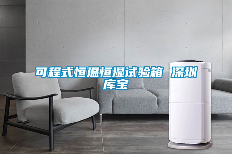 可程式恒溫恒濕試驗(yàn)箱 深圳庫(kù)寶