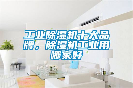 工業(yè)除濕機(jī)十大品牌，除濕機(jī)工業(yè)用哪家好