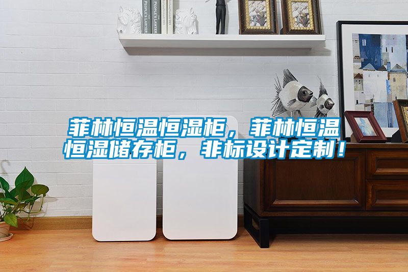 菲林恒溫恒濕柜，菲林恒溫恒濕儲存柜，非標(biāo)設(shè)計定制！