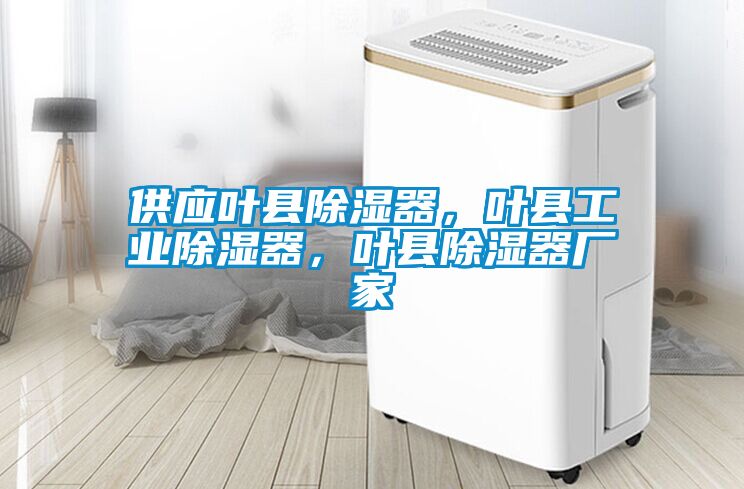 供應葉縣除濕器，葉縣工業(yè)除濕器，葉縣除濕器廠家