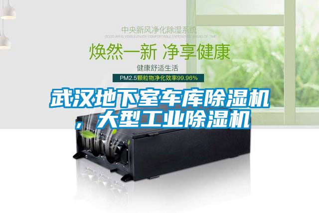 武漢地下室車庫除濕機，大型工業(yè)除濕機
