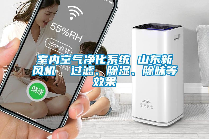 室內(nèi)空氣凈化系統(tǒng) 山東新風(fēng)機(jī)  過濾、除濕、除味等效果