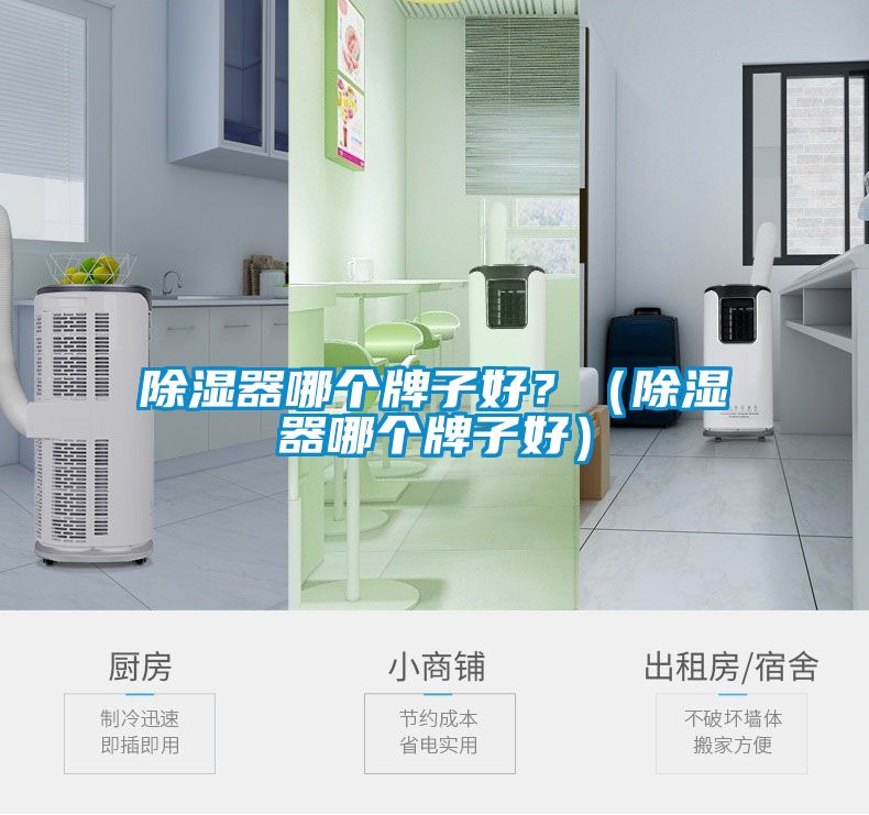 除濕器哪個(gè)牌子好？（除濕器哪個(gè)牌子好）