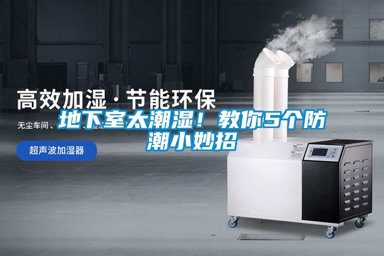 地下室太潮濕！教你5個防潮小妙招