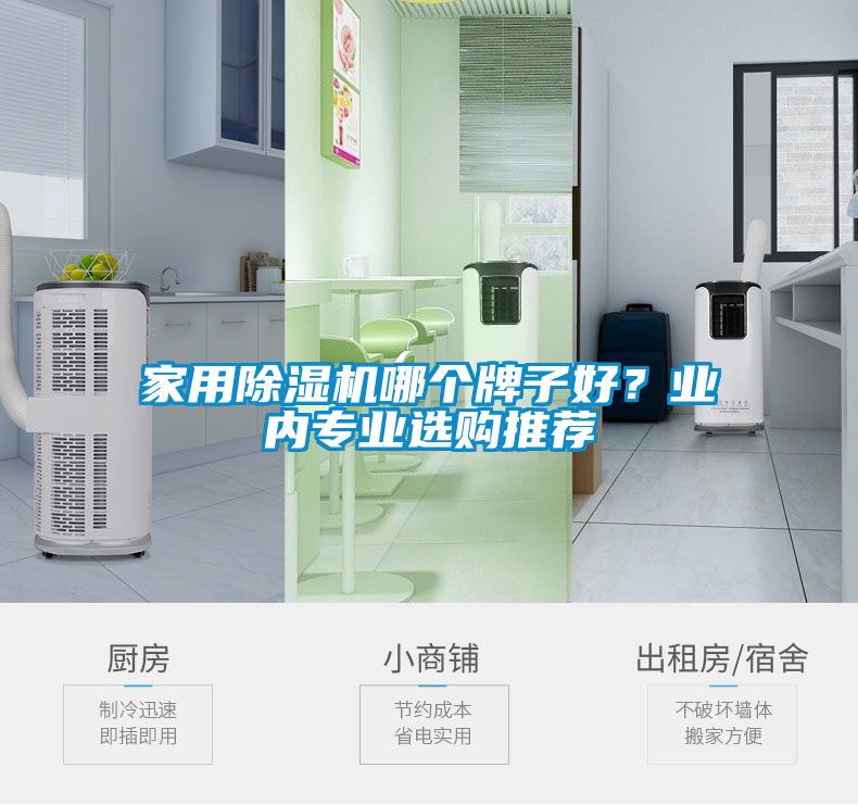 家用除濕機哪個牌子好？業(yè)內(nèi)專業(yè)選購?fù)扑]