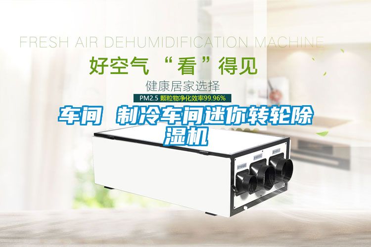 車間 制冷車間迷你轉(zhuǎn)輪除濕機