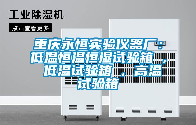 重慶永恒實(shí)驗儀器廠：低溫恒溫恒濕試驗箱 , 低溫試驗箱 , 高溫試驗箱