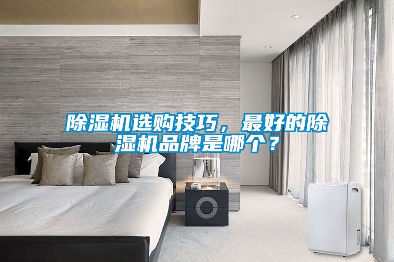 除濕機(jī)選購(gòu)技巧，最好的除濕機(jī)品牌是哪個(gè)？