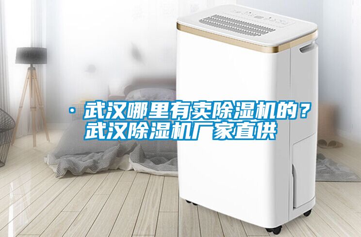 ·武漢哪里有賣除濕機(jī)的？武漢除濕機(jī)廠家直供