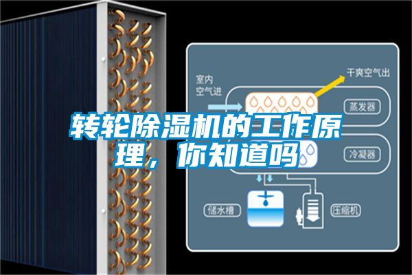 轉(zhuǎn)輪除濕機(jī)的工作原理，你知道嗎