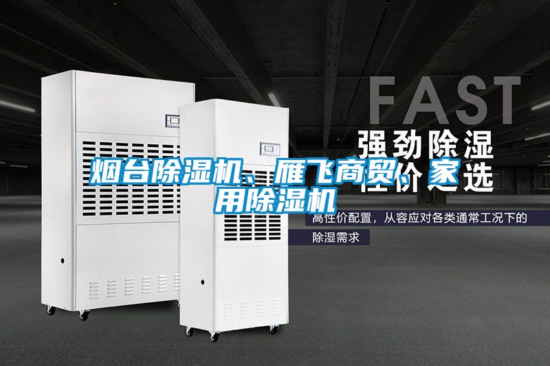 煙臺除濕機(jī)、雁飛商貿(mào)、家用除濕機(jī)