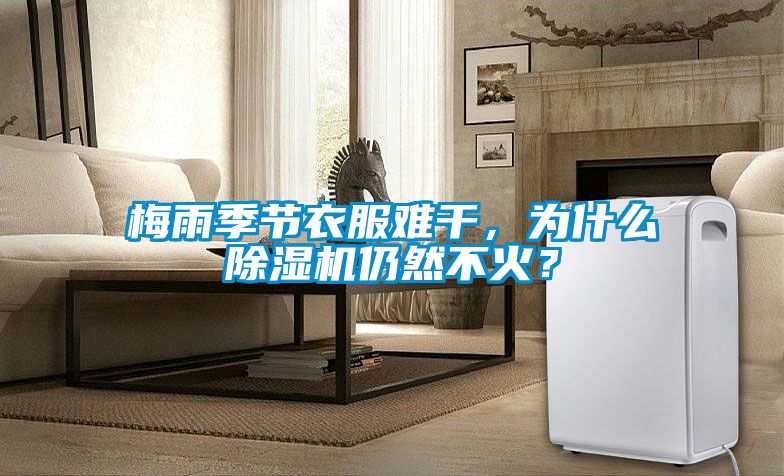 梅雨季節(jié)衣服難干，為什么除濕機仍然不火？