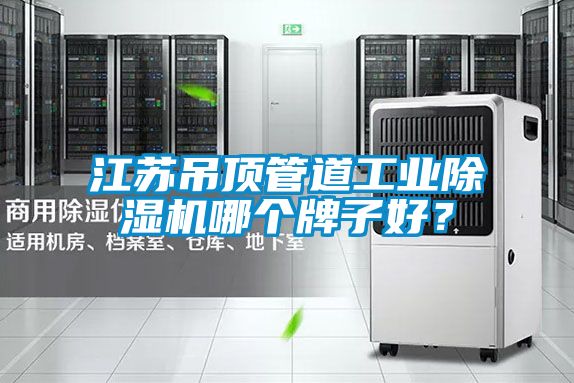 江蘇吊頂管道工業(yè)除濕機哪個牌子好？