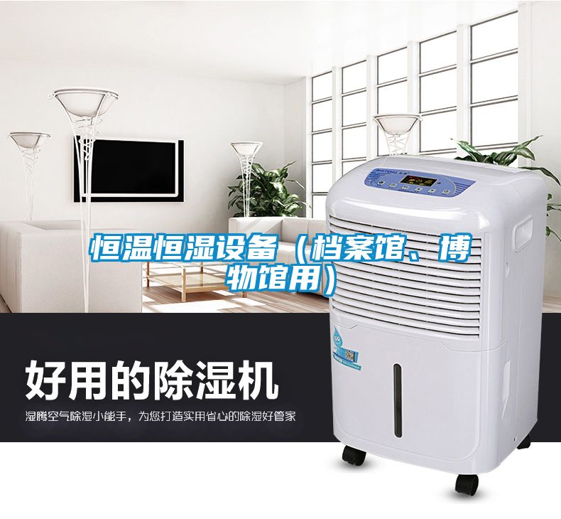 恒溫恒濕設(shè)備（檔案館、博物館用）