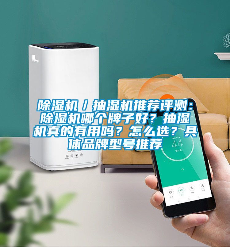 除濕機(jī)／抽濕機(jī)推薦評(píng)測(cè)：除濕機(jī)哪個(gè)牌子好？抽濕機(jī)真的有用嗎？怎么選？具體品牌型號(hào)推薦