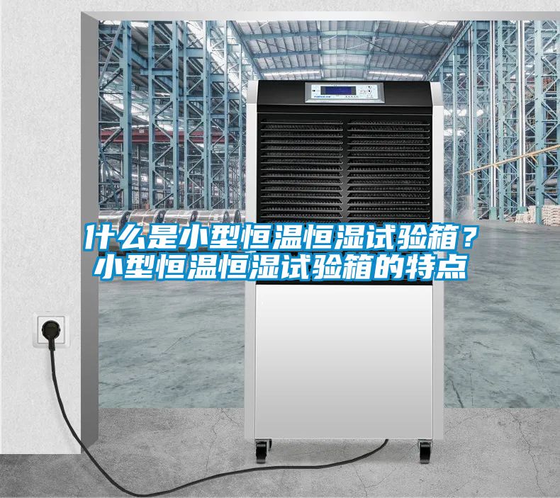 什么是小型恒溫恒濕試驗(yàn)箱？小型恒溫恒濕試驗(yàn)箱的特點(diǎn)