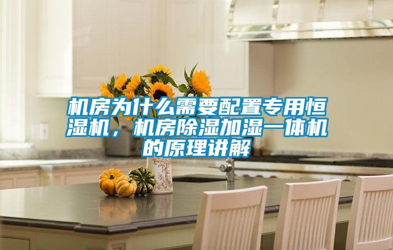 機(jī)房為什么需要配置專(zhuān)用恒濕機(jī)，機(jī)房除濕加濕一體機(jī)的原理講解