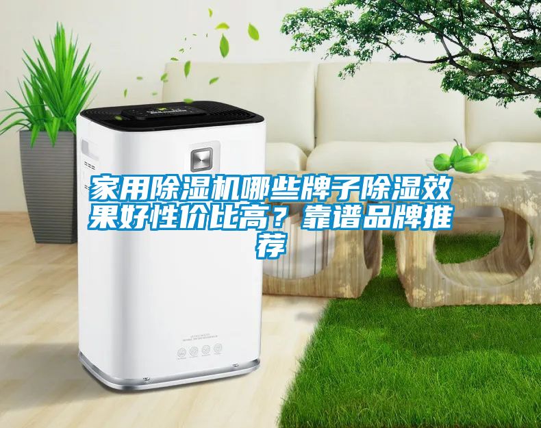 家用除濕機(jī)哪些牌子除濕效果好性?xún)r(jià)比高？靠譜品牌推薦