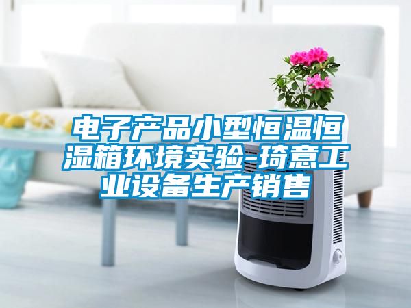 電子產(chǎn)品小型恒溫恒濕箱環(huán)境實(shí)驗-琦意工業(yè)設(shè)備生產(chǎn)銷售