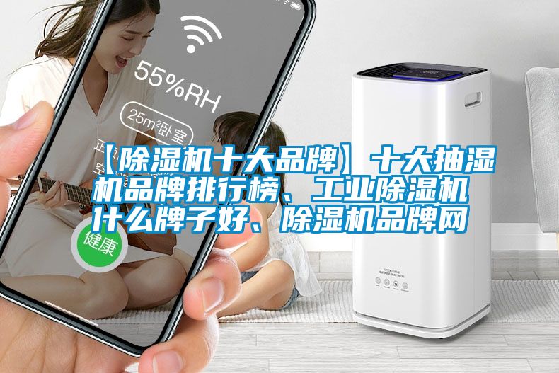 【除濕機(jī)十大品牌】十大抽濕機(jī)品牌排行榜、工業(yè)除濕機(jī)什么牌子好、除濕機(jī)品牌網(wǎng)