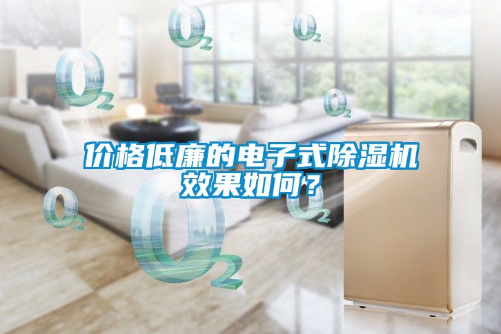 價格低廉的電子式除濕機效果如何？