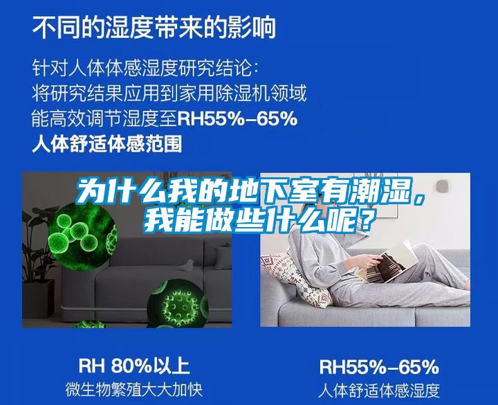 為什么我的地下室有潮濕， 我能做些什么呢？