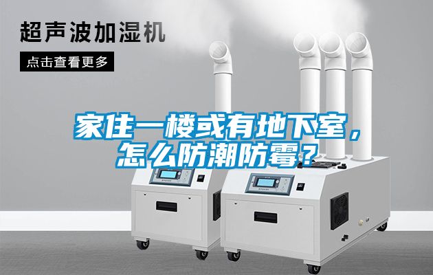 家住一樓或有地下室，怎么防潮防霉？