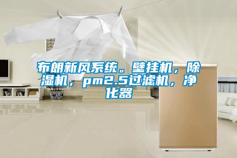 布朗新風(fēng)系統(tǒng)。壁掛機(jī)，除濕機(jī)，pm2.5過濾機(jī)，凈化器