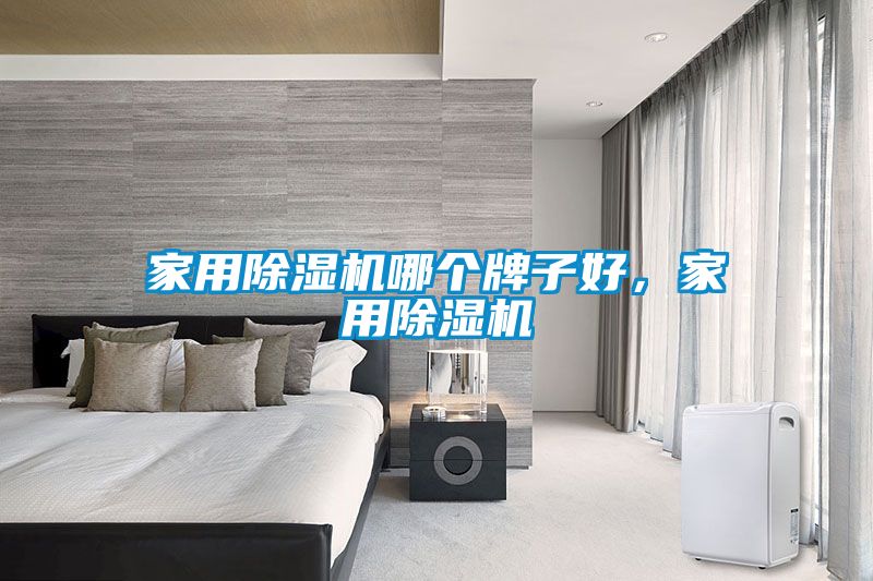 家用除濕機(jī)哪個(gè)牌子好，家用除濕機(jī)