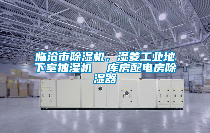 臨滄市除濕機(jī)，濕菱工業(yè)地下室抽濕機(jī)  庫房配電房除濕器