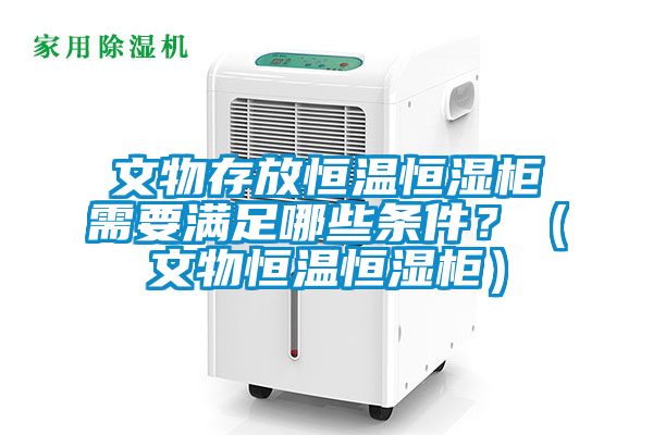 文物存放恒溫恒濕柜需要滿足哪些條件？（文物恒溫恒濕柜）
