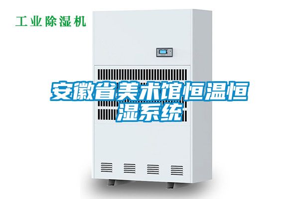 安徽省美術館恒溫恒濕系統(tǒng)