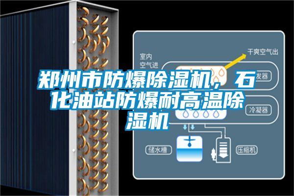 鄭州市防爆除濕機(jī)，石化油站防爆耐高溫除濕機(jī)