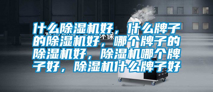 什么除濕機(jī)好，什么牌子的除濕機(jī)好，哪個(gè)牌子的除濕機(jī)好，除濕機(jī)哪個(gè)牌子好，除濕機(jī)什么牌子好