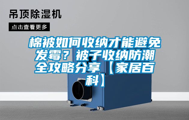棉被如何收納才能避免發(fā)霉？被子收納防潮全攻略分享【家居百科】