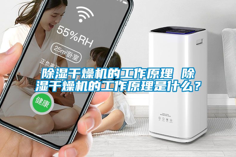 除濕干燥機(jī)的工作原理 除濕干燥機(jī)的工作原理是什么？