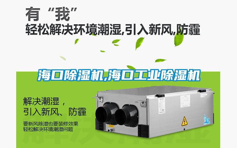 ?？诔凉駲C(jī),海口工業(yè)除濕機(jī)