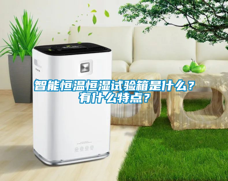 智能恒溫恒濕試驗(yàn)箱是什么？有什么特點(diǎn)？