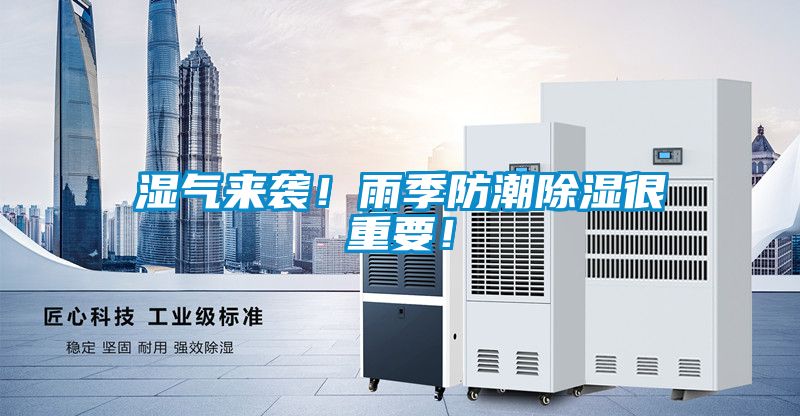 濕氣來襲！雨季防潮除濕很重要！