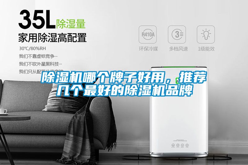 除濕機哪個牌子好用，推薦幾個最好的除濕機品牌