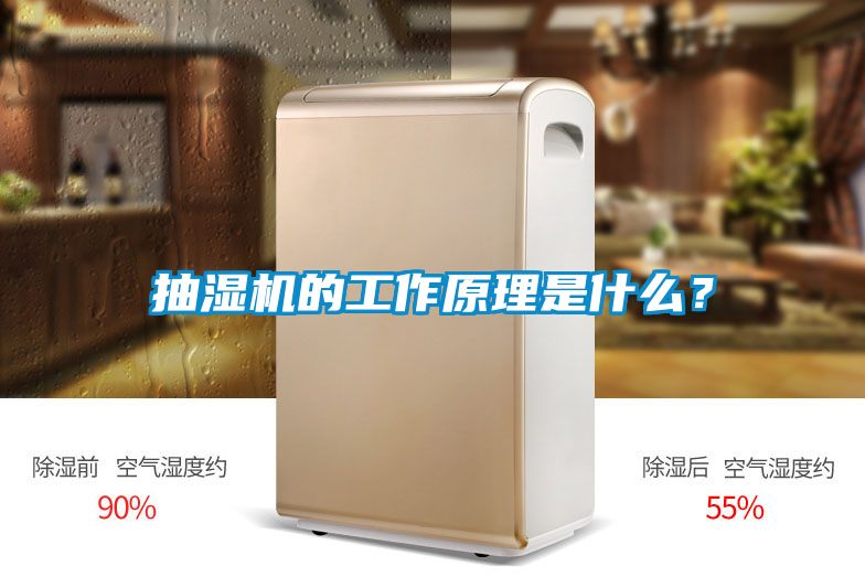 抽濕機(jī)的工作原理是什么？