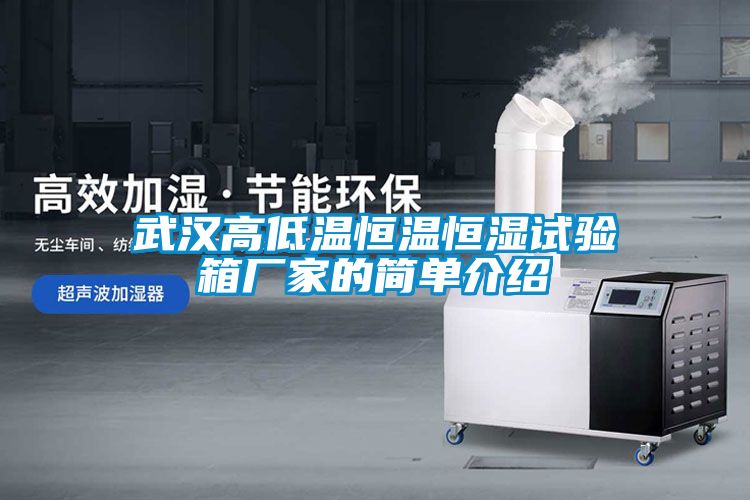 武漢高低溫恒溫恒濕試驗(yàn)箱廠(chǎng)家的簡(jiǎn)單介紹