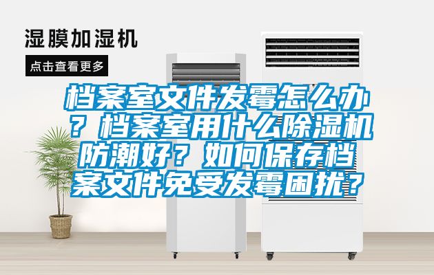 檔案室文件發(fā)霉怎么辦？檔案室用什么除濕機防潮好？如何保存檔案文件免受發(fā)霉困擾？