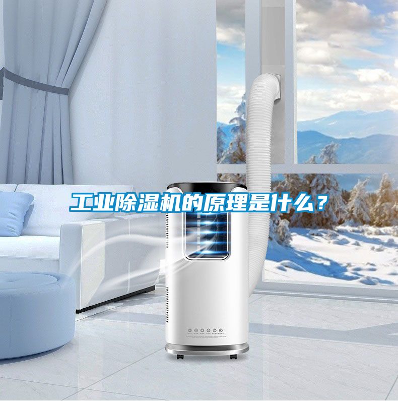 工業(yè)除濕機(jī)的原理是什么？